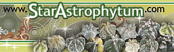 StarAstrophytum.com