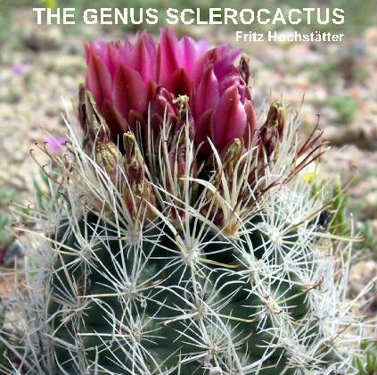 Sclerocactus