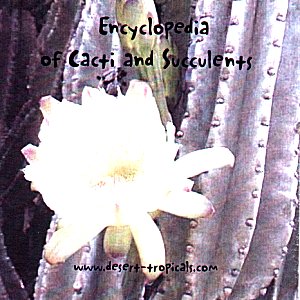 Encyclopedia of Cacti and Succuelnts