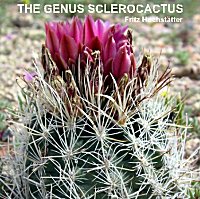 Sclerocactus