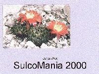 Sulcomania
