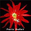 Paris Ballet