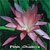 Pink Chablis