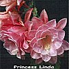 Princess Linda