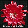 Ribbons and Ruffles