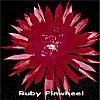 Ruby Pinwheel
