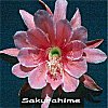 Sakurahime