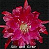 Silk and Satin