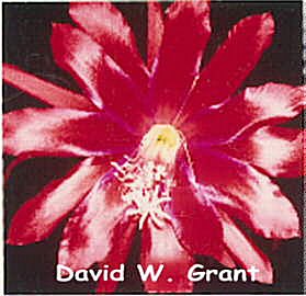 David W Grant