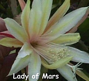 Lady of Mars