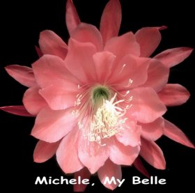 Michele, My Belle