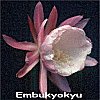 Embukyokyu