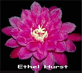 Ethel Hurst